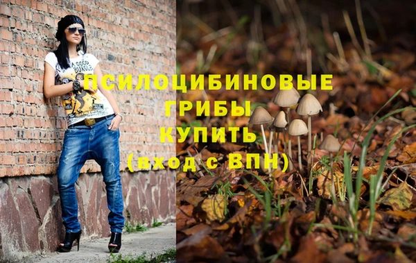 герыч Володарск