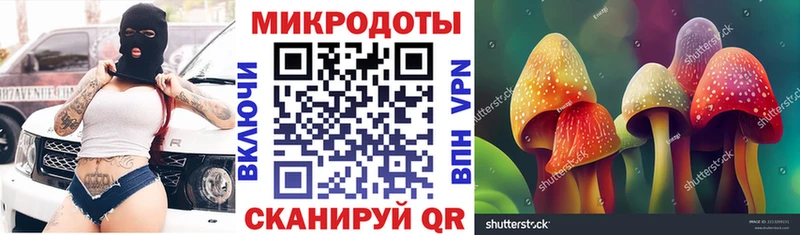 Псилоцибиновые грибы Psilocybe  Купить где  Кириллов 